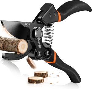 Top Garden Shears for Easy and Precise Pruning garden shears