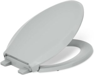 Kohler Toilets Seats: Comfort Meets Innovation Kohler Toilets Seats