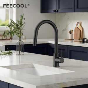 Matte Black Kitchen Faucet